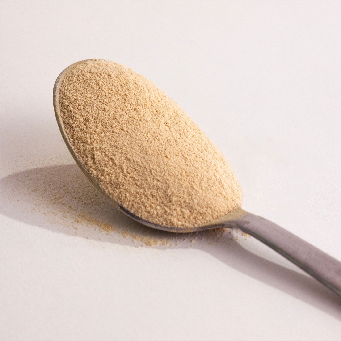 GI Manager: Prebiotic Fibre