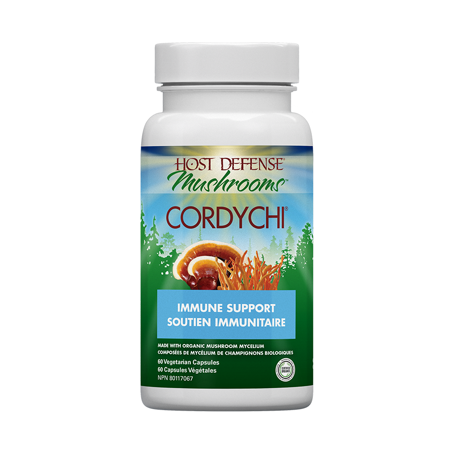 CordyChi