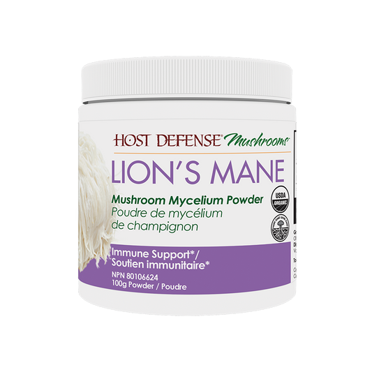 Lion's Mane Mushroom Powder