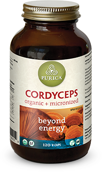 Cordyceps