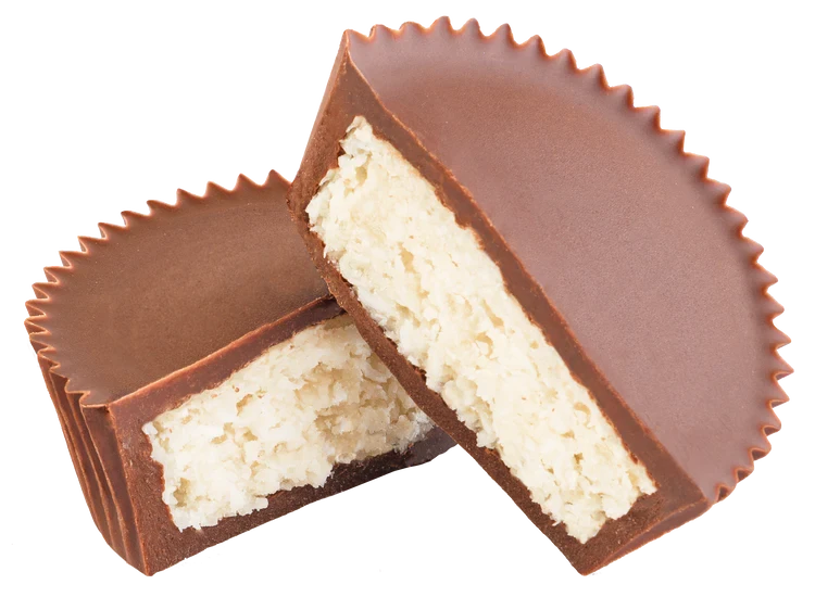 Organic Coconut Cup