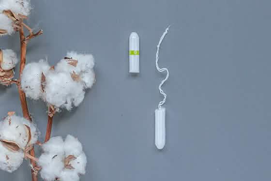 Regular Non-Applicator Tampons