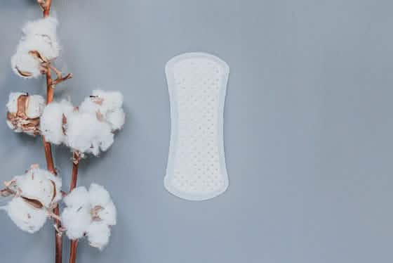 Curved Panty Liners
