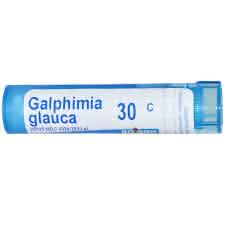 Galphimia Glauca