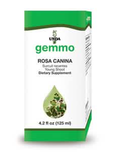 Rosa canina
