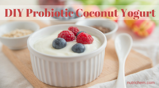 DIY Probiotic Coconut Yogurt