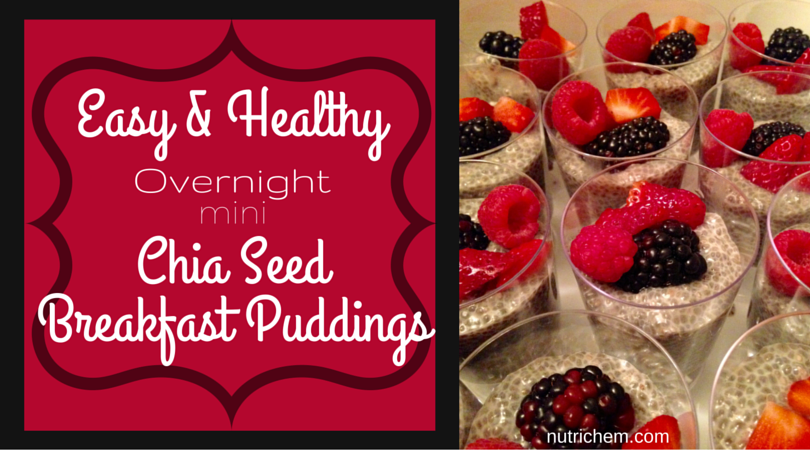 Easy & Healthy Overnight Mini Chia Seed Breakfast Puddings