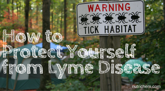 Protect Yourself from Lyme Disease