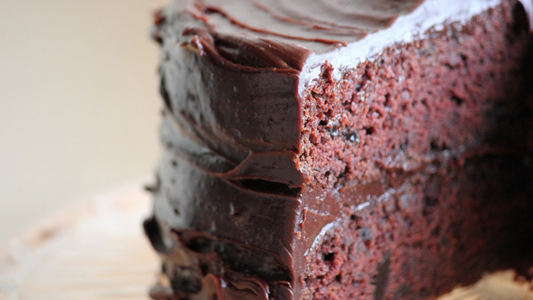 Earth Day Chocolate Mud Cake