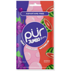 Pur Aspartame Free Jumbo Gum - Grape, Bubblegum & Watermelon