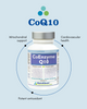 CoEnzyme Q10 (100 mg)
