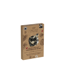 Fairtrade Mini Bark Bar - Dark Chocolate Ginger and Sea Salt