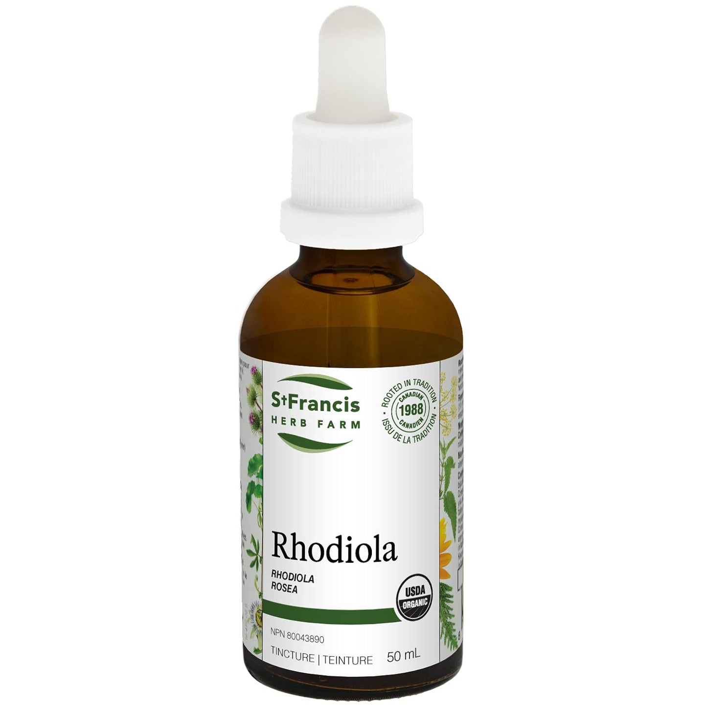 Rhodiola