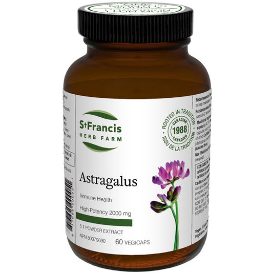Astragalus Herbal Capsules
