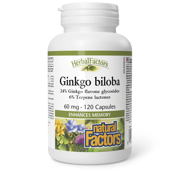 Ginkgo Biloba