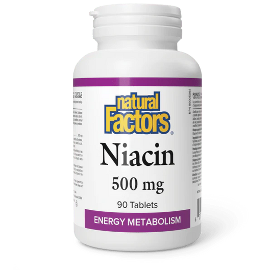 Niacin Vitamin B3 500 mg