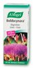Boldocynara
