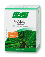 Prostate 1