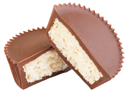 Organic Coconut Cup