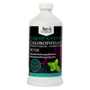 Liquid Greens Chlorophyll Super Concentrate Activated Charcoal Mint