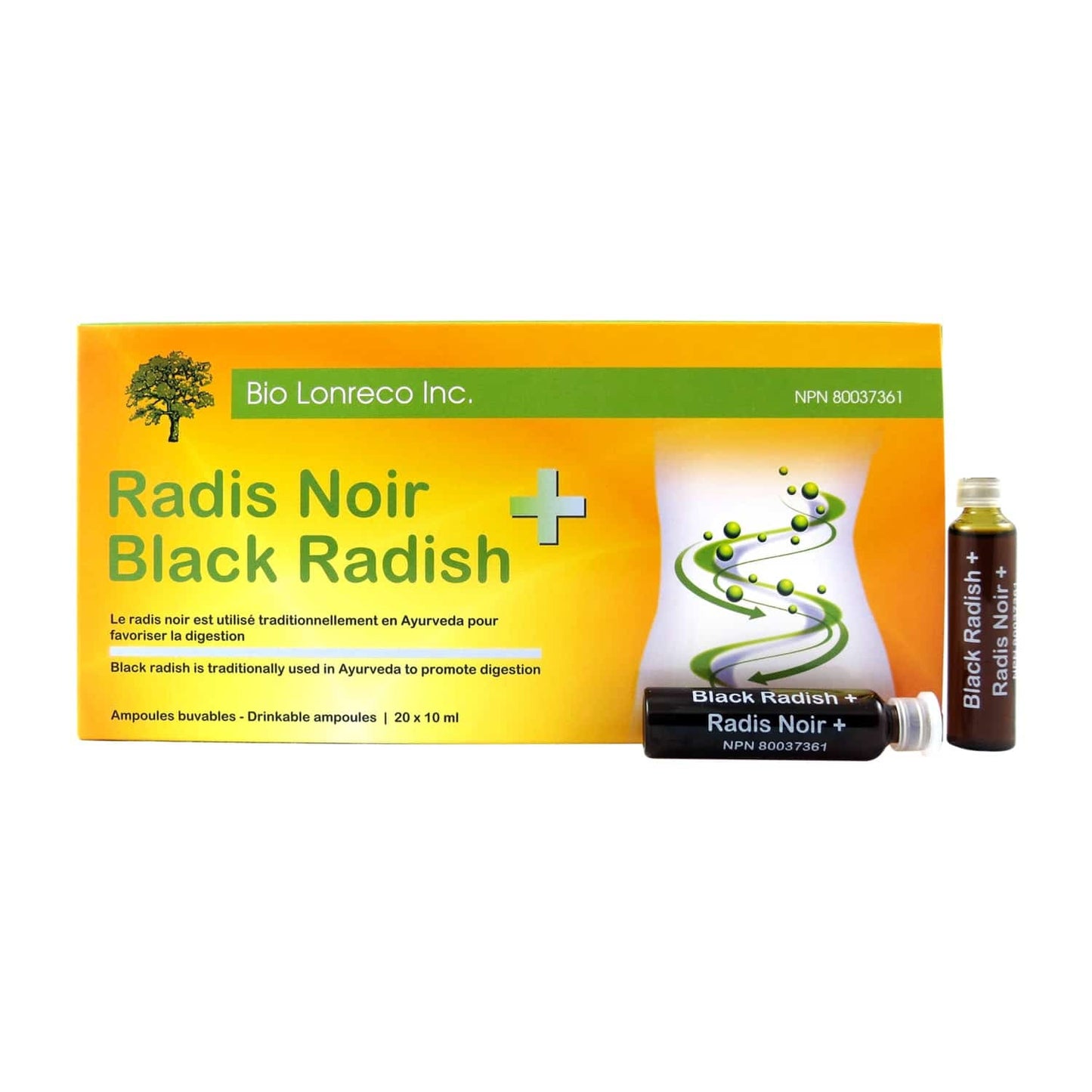 Black Radish +