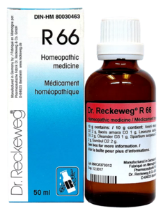 Dr. Reckeweg R66