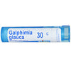 Galphimia Glauca