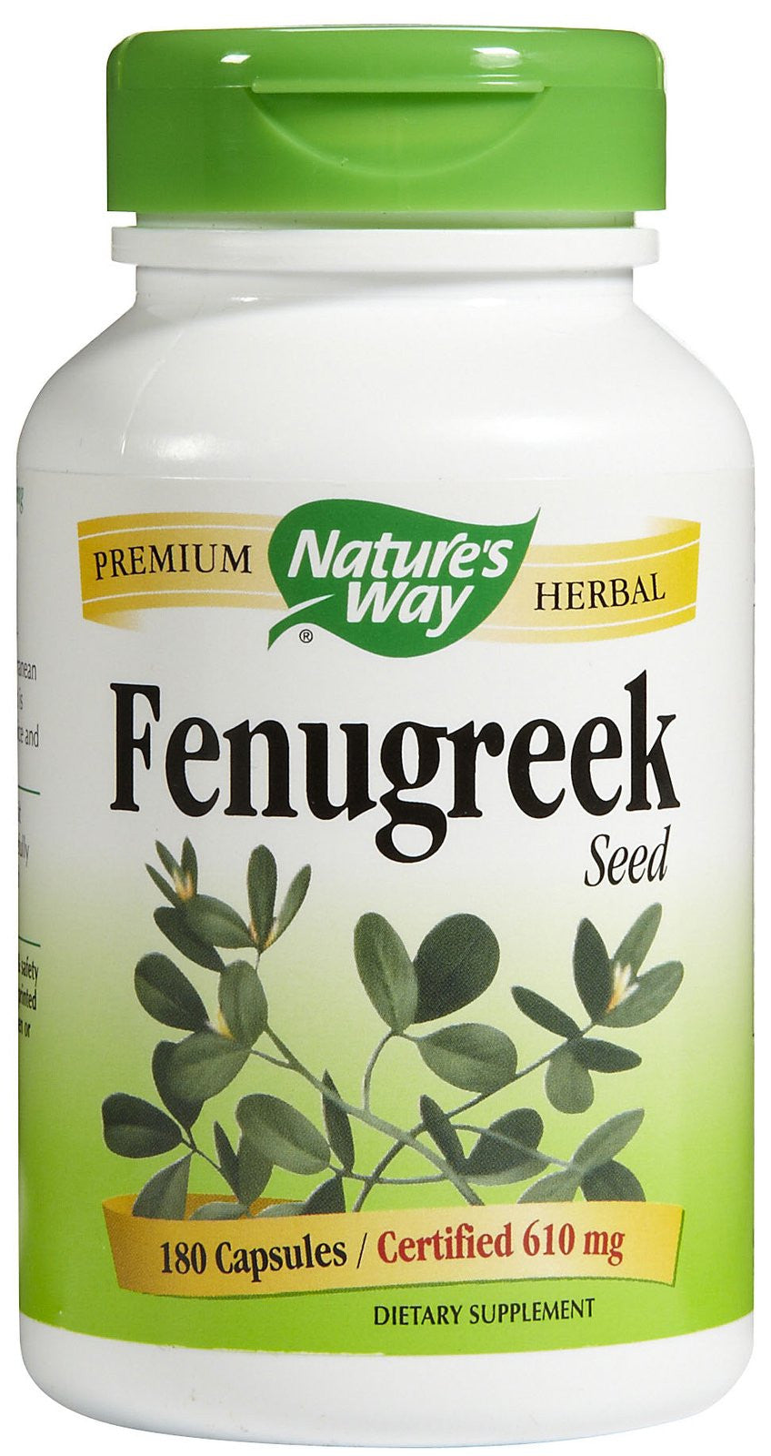 Fenugreek Seed